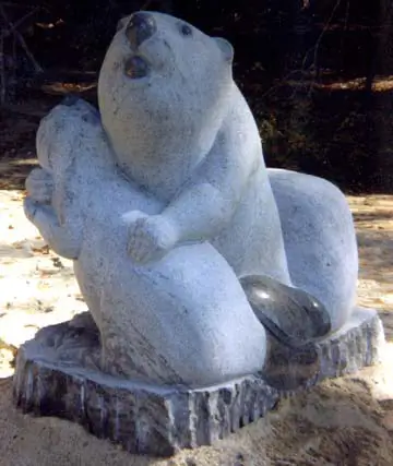 Beavers