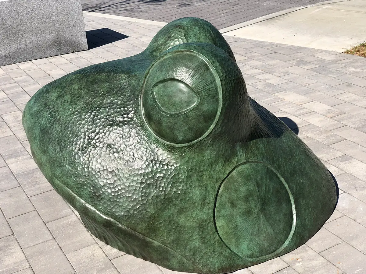 Big Frog, view 3