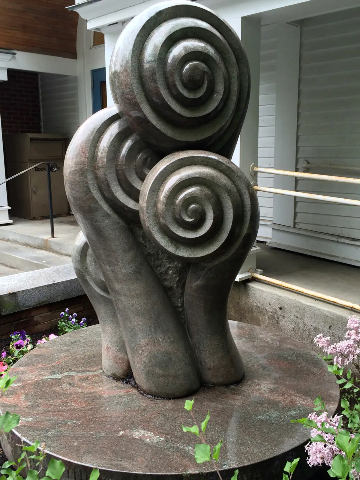 Fiddlehead Family, view 3