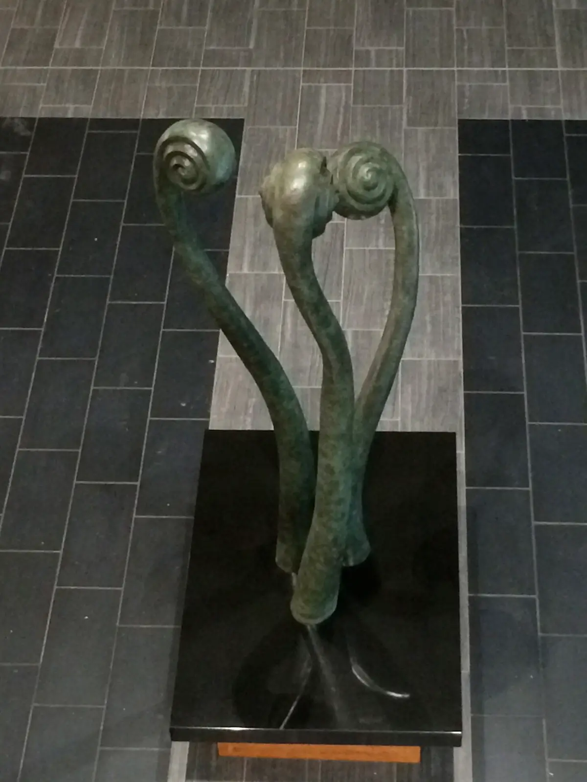 Fiddleheads Bench – SCRA, view 2