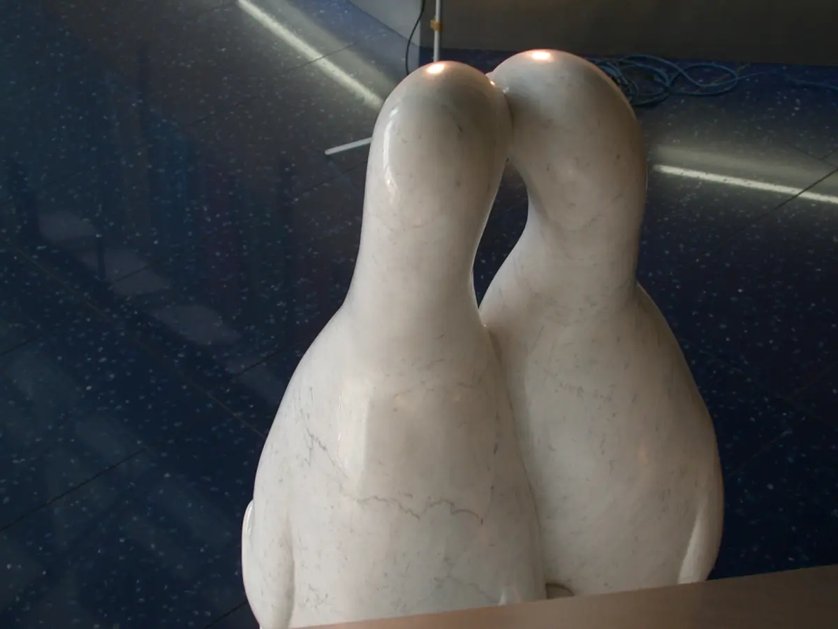 Great Auk Family, view 4