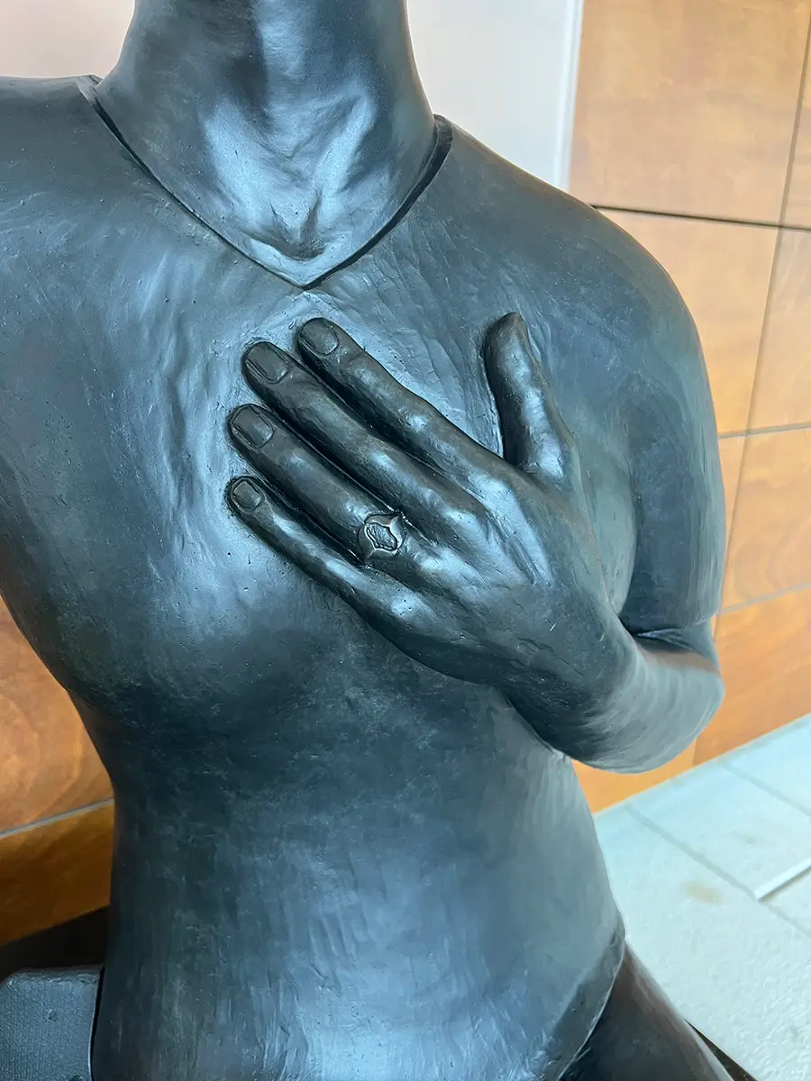 Hearts and Hands – University of North Carolina, view 8