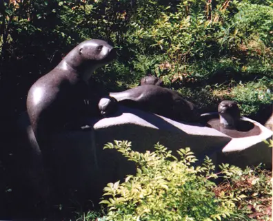 Otters, view 2