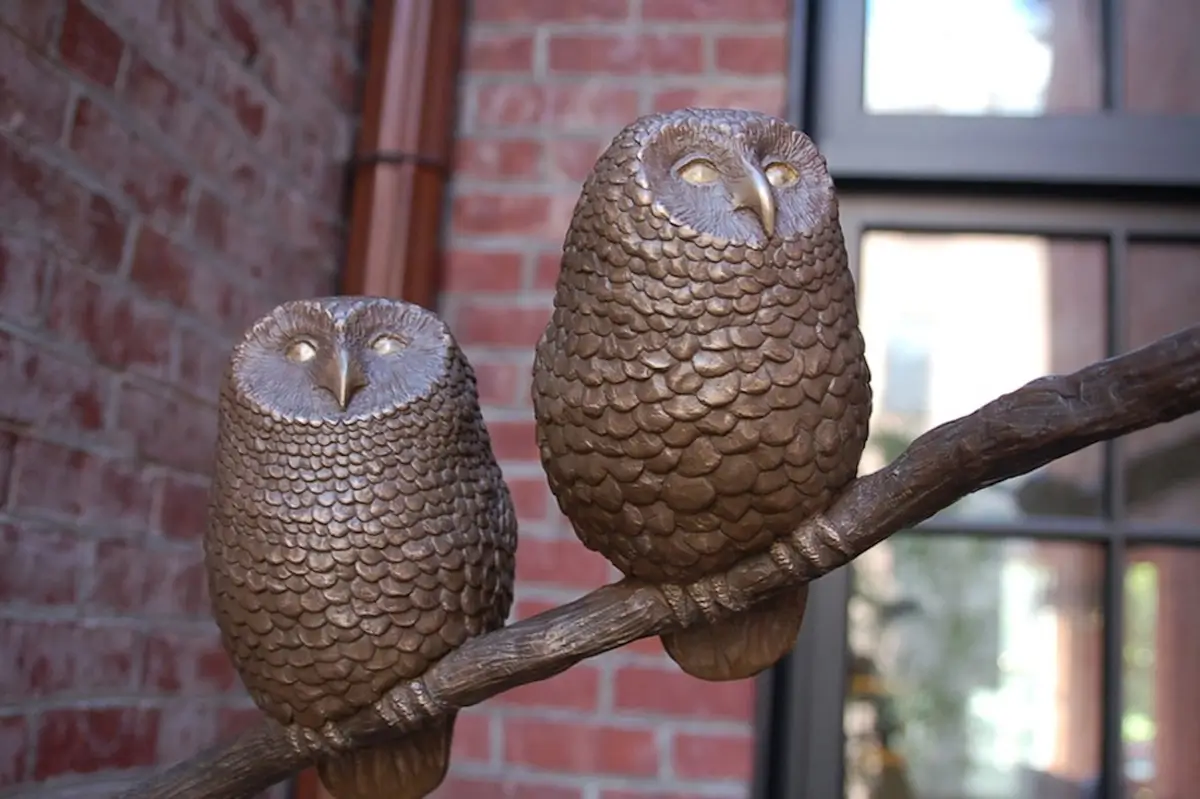Owl Family