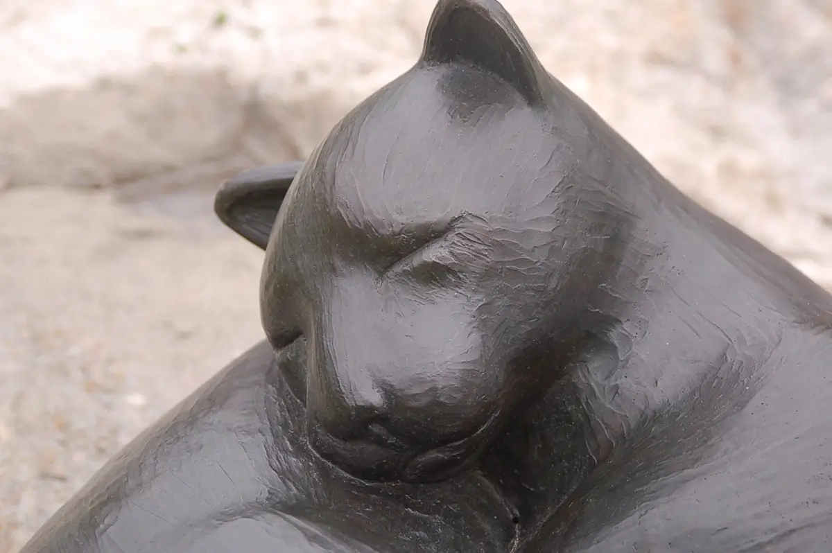 Sleeping Cats, view 2