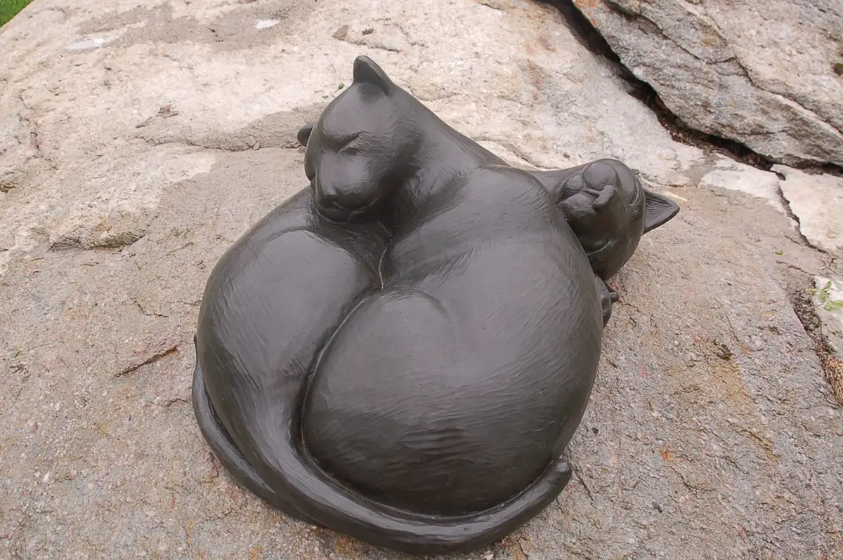 Sleeping Cats, view 4